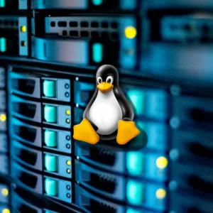 Bulletproof VPS Linux