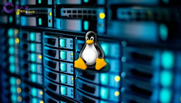 Bulletproof VPS Linux